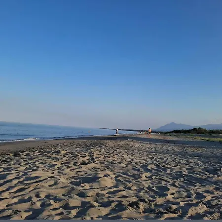 T2 Proche De La Venzolasca