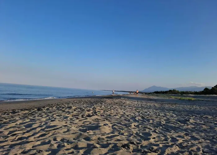 T2 Proche De La Venzolasca